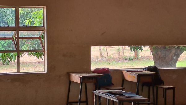 Manchmal spazierten vor den Fenstern des Schulzimmers Kühe vorüber.