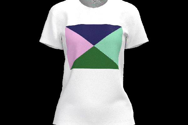 ((Bitte an teil.ch: animiertes GIF T-Shirt IDM sollte dargestellt werden können // ohne Bildlegende.))